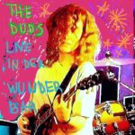 LPs that don't exist, volume 4: The Duds "Live in der WunderBAR"